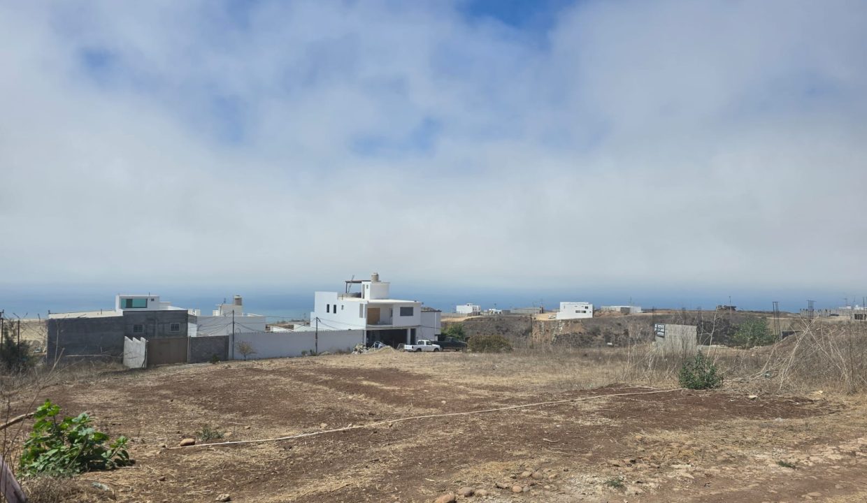 8d942cb3-4009-4486-8832-104d3b6520b6