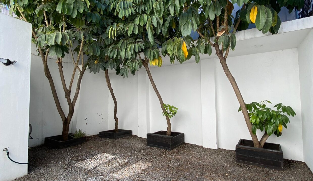 TRIADA1