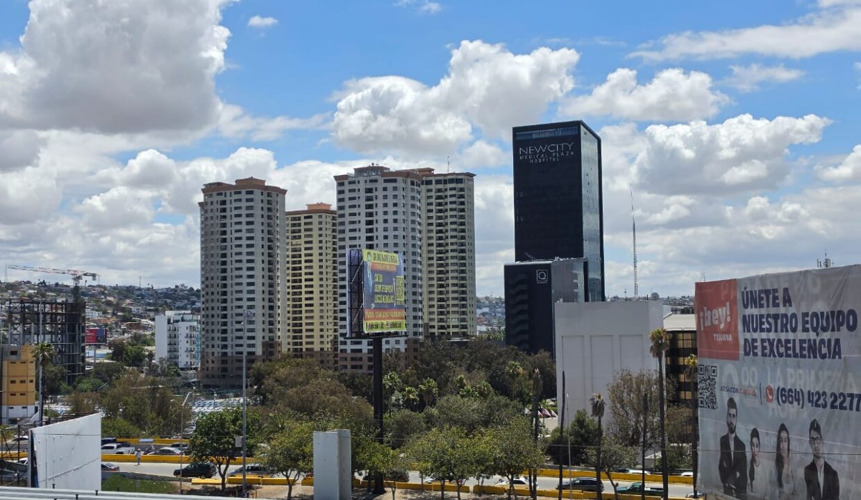TRIADA10